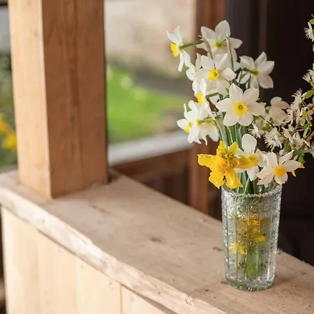 Zelena Hisa Pri Bjov * Bohinjska Bela