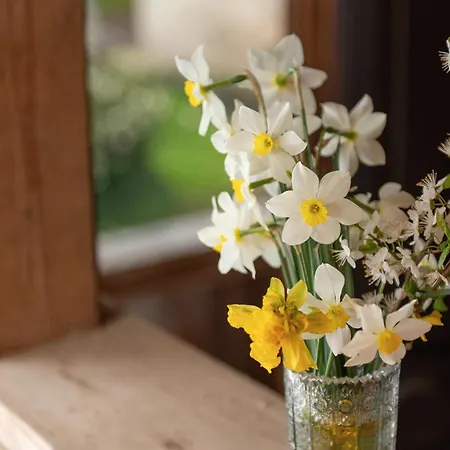 Zelena Hisa Pri Bjov