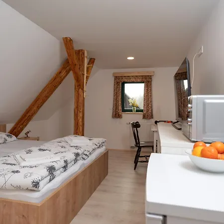 Zelena Hisa Pri Bjov Lejlighed Bohinjska Bela