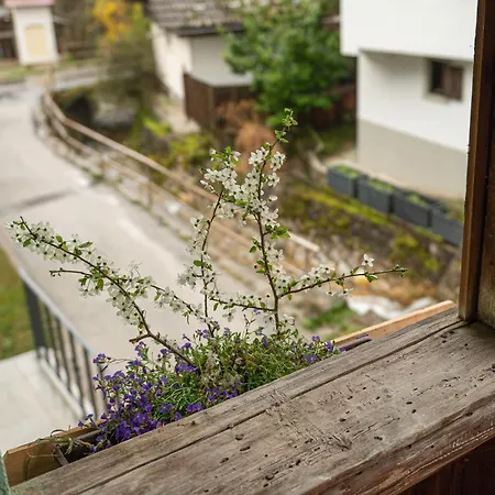Appartement Zelena Hisa Pri Bjov *
