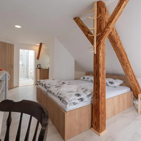 Zelena Hisa Pri Bjov Lejlighed Bohinjska Bela