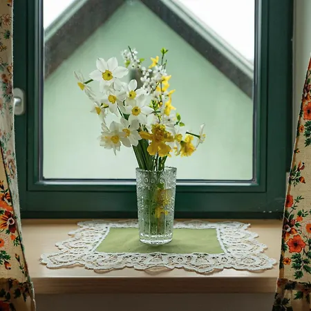 Zelena Hisa Pri Bjov Appartement *