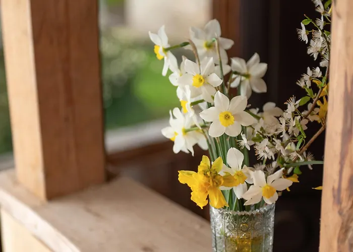 Zelena Hisa Pri Bjov