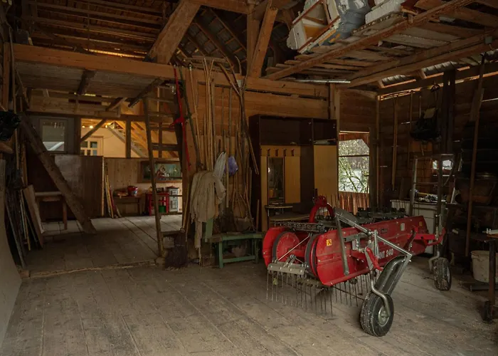 Zelena Hisa Pri Bjov 公寓