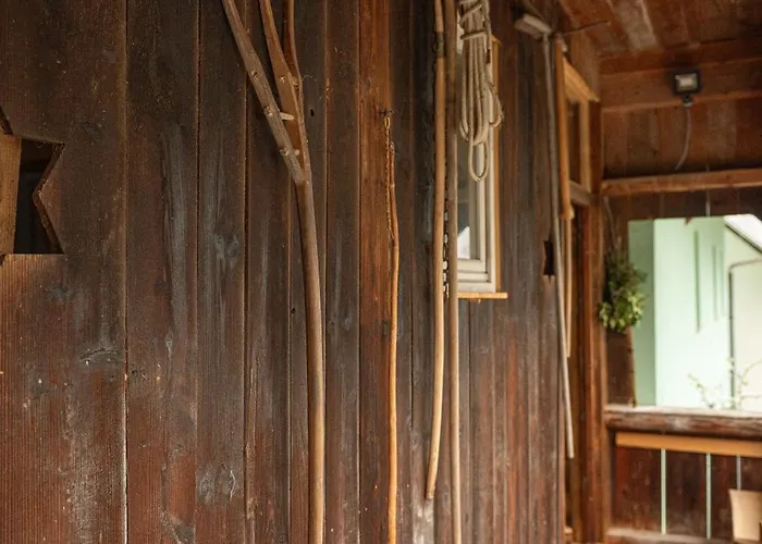 Daire Zelena Hisa Pri Bjov *