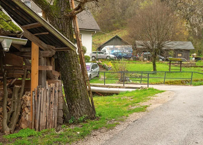 Zelena Hisa Pri Bjov Daire